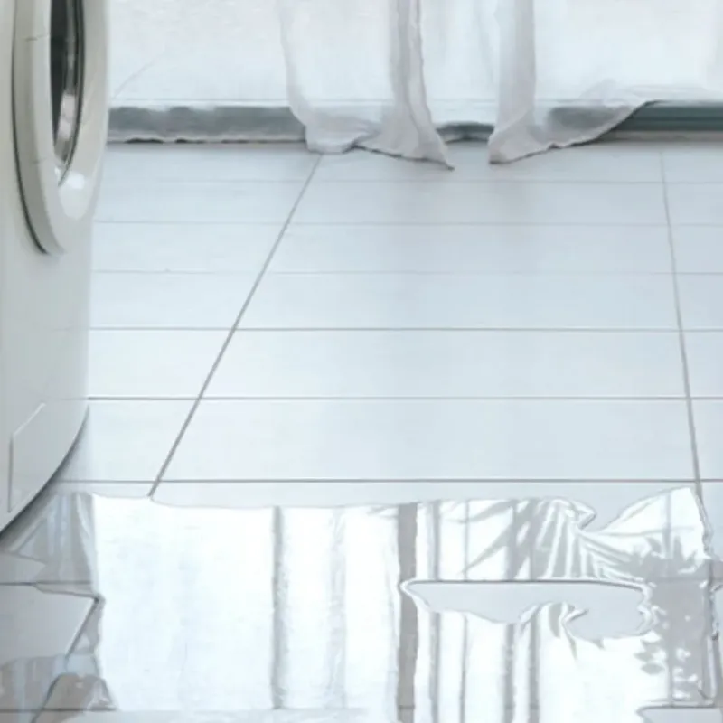 Appliance Leak Cleanup in Richmond, MI