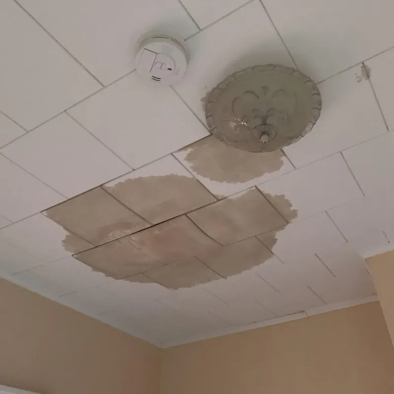 Ceiling Water Damage Repair in Richmond, MI