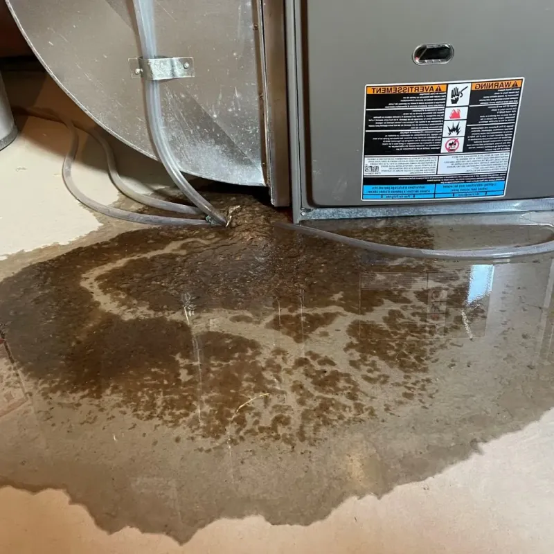 Pipe Burst and Leak Restoration in Richmond, MI