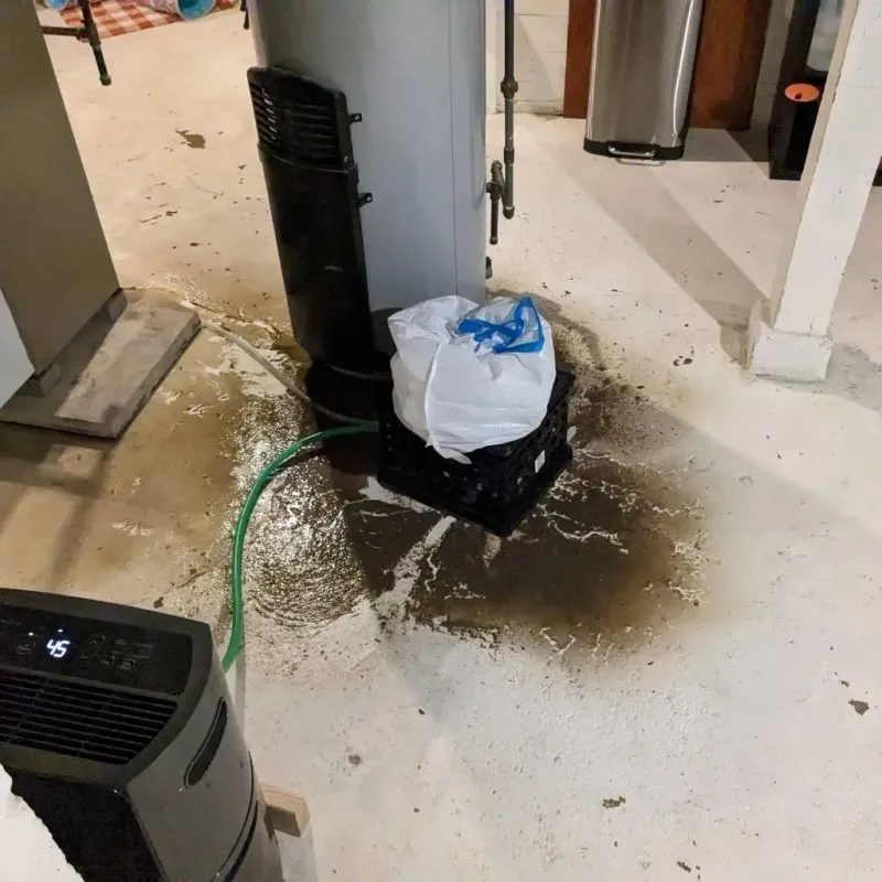 Sewage Backup Cleanup Service in Richmond, MI
